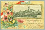 AK DE S.-A. Quedlinburg 1901-07-22 Präge-Litho - Quedlinburg