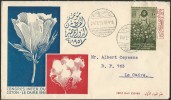 Egypt 1951 First Day Cover FDC INTERNATIONAL COTTON CONGRESS - Storia Postale