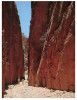 (1519) Australia - NT - Stanley Chasm - The Red Centre