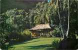 244441-Hawaii, Honolulu, Waioli Tea Room, Grass Hut, Eaglecolor No 2062 - Honolulu