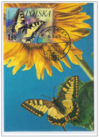 Poland Polska 1986 Butterfly Butterflies Insect Insects Canceled In Nowy Sacz - Cartes Maximum