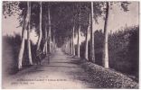 PEYREHORADE - Avenue De Sorde -ed. ,Th. Pujo - Peyrehorade