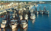 Shrimp Boats, Louisiana - Other & Unclassified
