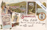 Baden Würtemberg,  Badenweiler  Gruss Aus...litho Multivues, Schwanenweier, Costumes - Badenweiler