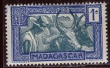 Madagascar - Neuf- Charnière Y&T 1930 N° 161A Attelage De Zébus  1c Bleu Et Vert-bleu - Unused Stamps