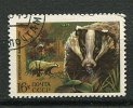 (cl. 5 - P.45) Russie Ob N° 4180 (ref. Michel Au Dos)  - Le Blaireau - - Used Stamps