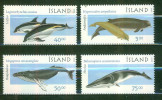 Faune Marine - Cétacés - ISLANDE - Baleine, Dauphin, Mégaptère - N° 917 à 920 ** - 2000 - Ungebraucht