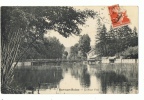 CP AUBE - BAR SUR SEINE - LE PONT VERT- ECRITE EN 1913 - Bar-sur-Seine