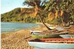 35C.IXORA MACROTHYRSA ANTIGUA - Antigua En Barbuda