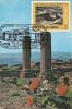 29026- ARCHAEOLOGY, DROBETA TURNU SEVERIN ROMAN TOWN RUINS, MAXIMUM CARD, 1982, ROMANIA - Archéologie