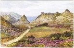 Valley Of Rocks, Lynton By A R Quinton - J Salmon 2092 Unused - Quinton, AR