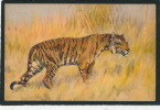 TIGRES - Jolie Carte Fantaisie Tigre Dans La Savane - Tigers