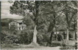 Northeim - Waldrestaurant - Kur- Und Pensionshaus Gesundbrunnen - Inhaber A. Metje - Foto-AK - Northeim