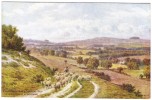 A R Quinton - Chantonbury Ring & Cissbury From Salvington Mill, Nr Worthing Colour Postcard - J Salmon No1893 - Quinton, AR