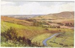 A R Quinton - Hindover Hill Nr Seaford Colour Postcard - J Salmon 2059 - Unused - Quinton, AR