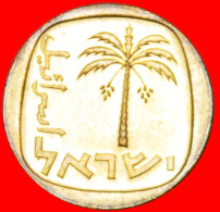 * SWITZERLAND (1960-1977): PALESTINE (israel)  10 AGOROTS 5732 (1972) DATEPALMTREE! LOW START NO RESERVE! - Israel