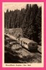 Oberweißbacher Bergbahn - Thür Wald - Train - Animée - DTVL - Photo HENKEL - 1954 - Oberweissbach