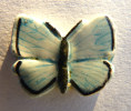 FEVE - MOULIN A HUILE 1997 - PAPILLON MORPHO Sierra Nevada MH (1) - Animales