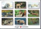 CP CANADA :  Animaux Du  Canada - Cartes Modernes