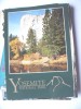 America USA California Yosimite Park Rock - Yosemite