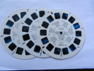 VIEW MASTER DISNEY 3 DISQUES FLIPPER LE DAUPHIN AMOUREUX 1966 - Stereoscoopen