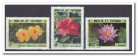 Wallis Et Futuna 1991, Postfris MNH, Flowers - Neufs