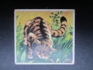 AUTOCOLLANT (M1527) PANINI SUPER ZOO (2 Vues)159, CHAT SAUVAGE - Andere & Zonder Classificatie