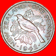 * BIRD (1940-1947): NEW ZEALAND ★ PENNY 1942! KEY DATE! GEORGE VI (1937-1952) LOW START★NO RESERVE! - New Zealand