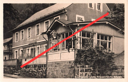 AK Krippen Gasthaus Zur Linde A Bad Schandau Schöna Postelwitz Kleinhennersdorf Papstdorf Gohrisch Cunnersdorf Schmilka - Kleinhennersdorf