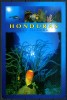 HONDURAS - Bay Islands - "Mondo Sottomarino" - Cartolina Non Viaggiata Come Da Scansione - Honduras