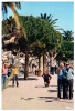 CPSM PETANQUE JEUX DE BOULES SAINTE MAXIME VAR PROMENADE ET JARDINS ED CIM 1978 - Pétanque