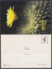 1998-EP-27 CUBA 1998. Ed.10c. INTERNATIONAL WOMEN'S DAY. POSTAL STATIONERY. FLORES. FLOWERS. UNUSED. - Covers & Documents