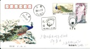 Letter FI000014 - China (Kina) Peafowl 2004-04-13 First Day Of Issue - Pfauen