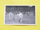 LES SPORTS       CRIQUET - Cricket