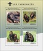 Guinea. 2014 Chimpanzees. (406a) - Schimpansen