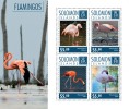 Solomon Islands. 2014  Flamingos. (703a) - Flamingo's