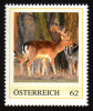 ÖSTERREICH 2013 ** Damhirsch / Dama Dama - PM Personalized Stamps MNH - Timbres Personnalisés