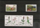 Saint Pierre Et Miquelon Années 2001/2006  Flore N° 740-777-871/874-** - Unused Stamps