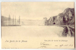 NELS - Série 7 N° 31 - Les Bords De La Meuse - Vue Près Du Tunnel De FIDEVOYE - Collections & Lots