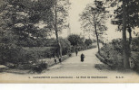 CPA.(44)  CARQUEFOU Le Pont De Charbonneau - Carquefou