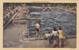 New York City Allegany State Park Greetings From Allegany State Park 1951 - Parken & Tuinen