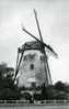 AARSELE Bij Tielt (W.Vl.) - Molen/moulin - Historisch Beeld Van De Delmerensmolen In Verval; Hier Nog Met Kap En Wieken - Tielt