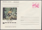 1990-EP-24 CUBA 1990. Ed.210b. ENTERO POSTAL. POSTAL STATIONERY. CORAL DE LOS CANARREOS. SEA FAUNA. UNUSED. - Storia Postale