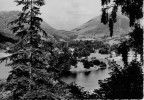 GRASMERE  THROUGH  THE  TREES     (VIAGGIATA) - Grasmere