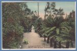 OCEANIE - AUSTRALIE --  Tasmania - Entrance To Fern Tree Bower Near Hobart - Sonstige & Ohne Zuordnung