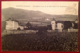 69 Rhone CHENAS Les Michelons Et La Montagne De Raymont - Chenas