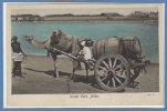 ASIE - YEMEN --  Water Cart - ADEN - Yemen