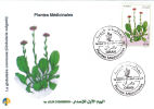 Algeria N° 1638 FDC Fleur Flore Flora Plantes Médicinales Medicinal Plants Globularia Vulgaris L Globulaire - Plantes Médicinales