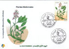 Algeria N° 1640 FDC Fleur Flore Flora Plantes Médicinales Medicinal Plants Menyanthes Trifoliata Ményanthe Buckmoth - Geneeskrachtige Planten