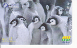 PENGUIN ( Chine ) - Pingouin - Manchot - Pinguin - Pingüino - Pinguino - Penguins - Pingouins - Manchots - Pinguïns & Vetganzen